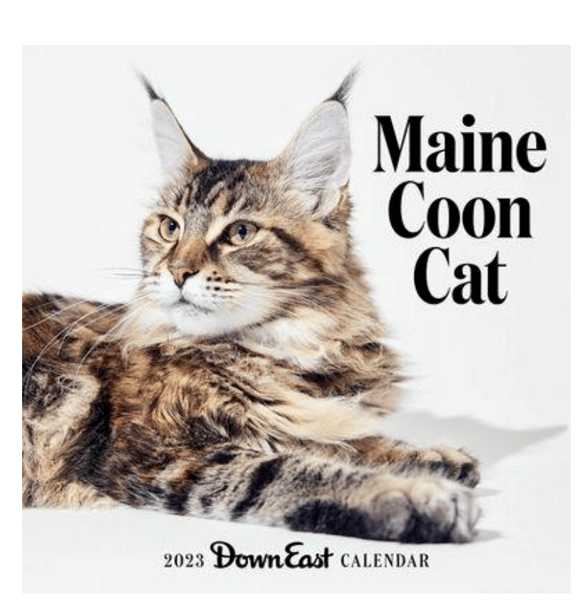 Featured in the 2023 DownEast&nbsp;Calendar